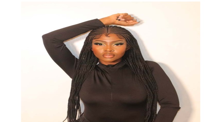 Tribal Braids: A Tapestry of Culture and Style